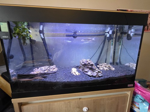 Fluval roma 125 with - fluval,