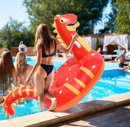 Giant inflatable dinosaur pool - dinosaur,