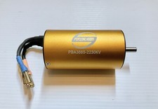 PSYCLONE 3665-2230KV Brushless
