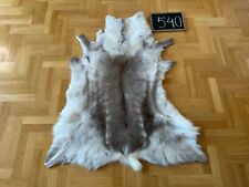 Exclusive Reindeer Hide Skin 134x110 cm Scandinavian Rug Prime Quality Real #540