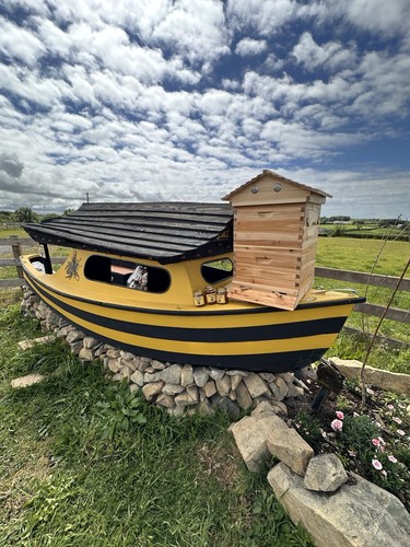 Wooden frame bee hive - 10,