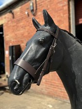 Leather Plaited Hunter Bridle Noseband Black/Brown Leather CLEARANCE