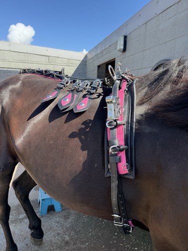 Pink quick hitch - quick, full