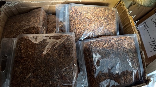 Premium whole dried crayfish - dried,