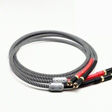 Pair High Quality OCC Silver