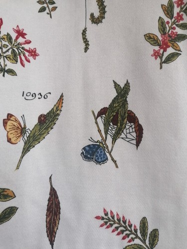 Ikea alvine vaxt - alvine, botanical