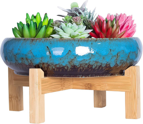 Succulent plant pot - plant, large