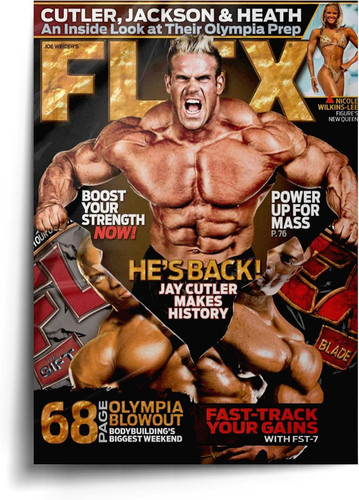 Jay cutler poster - poster,, wall