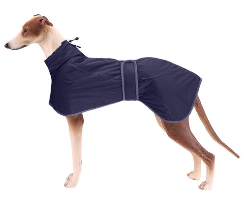 Greyhound winter coat - coat,, whippet