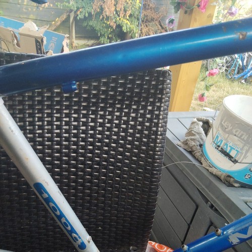 Raleigh trax mtb frame - raleigh, m-trax