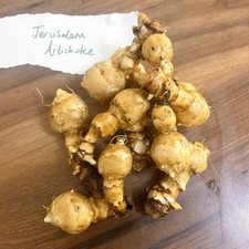 10 x Organic Jerusalem