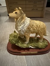 Collie By Leonardo