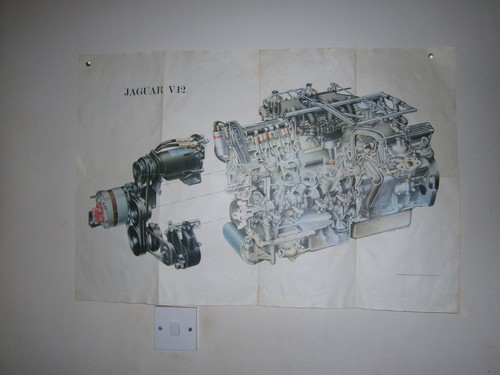 Original fair size jaguar - original, v12