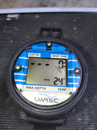 Uwatec wrist mounted - wrist,