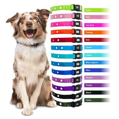Electric dog fence replacement - electric,