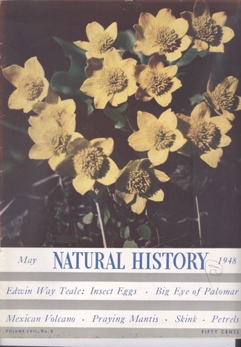 1948 natural history - 1948,