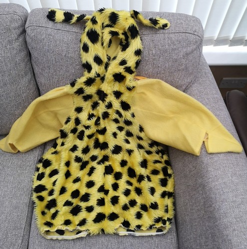 Children fancy dress costume - fancy,