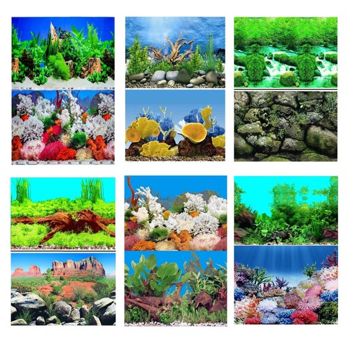 Aquarium fish tank - aquarium,