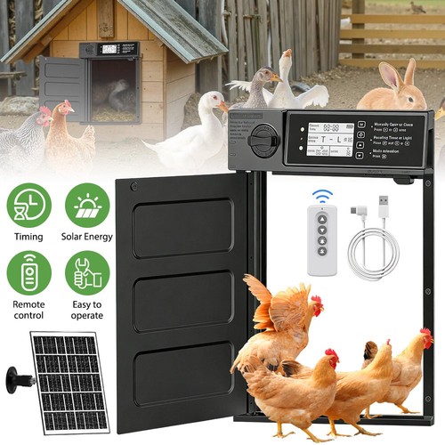 Automatic chicken door - door,