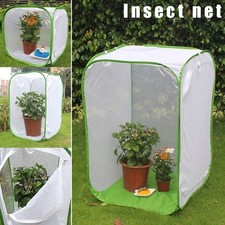 Mantis housing enclosure farm - housing,