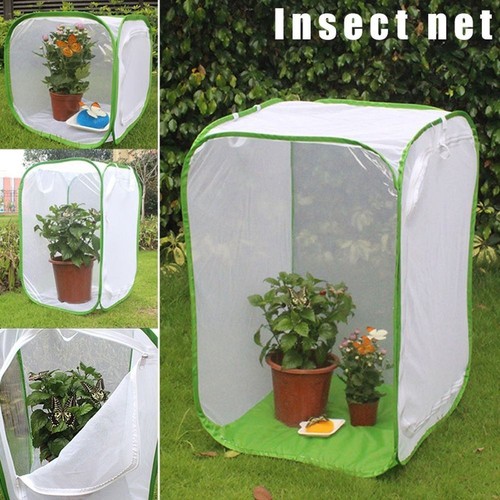 Mantis housing enclosure farm - housing,