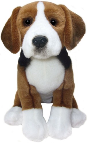 Hamilton hound teddy dog - hamilton,