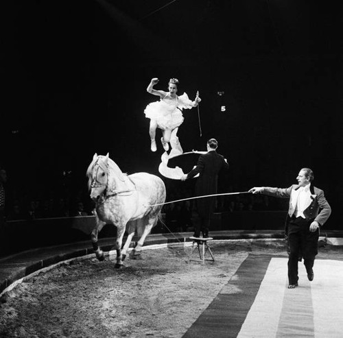 Bertram mills circus - bertram,