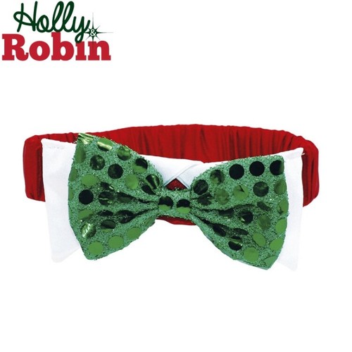 Holly robin christmas dog - robin,