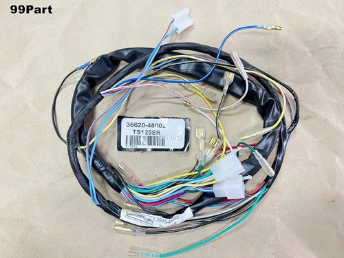 Main wire wiring harness - main,