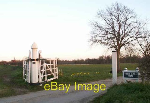 Photo 6x4 three - photo,