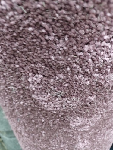Cheap great quality carpet - cheap,