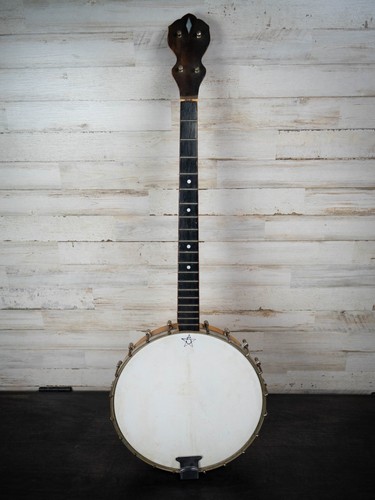 Vintage string banjo needs - string,