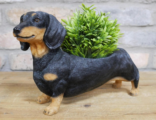 Dachshund planter indoor - dachshund,