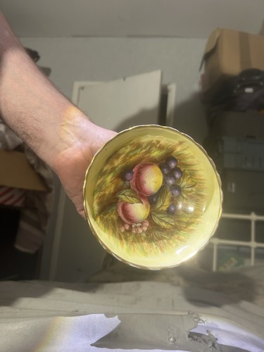 Aynsley dish with fruit - aynsley,