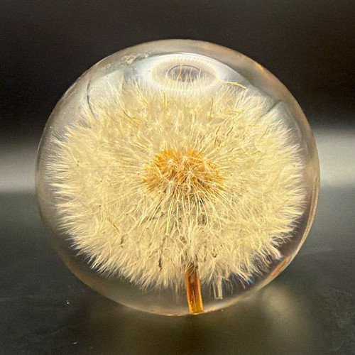 Vintage botanical resin