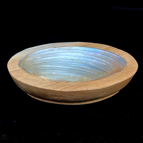 Wood polished oyster shell - wood,