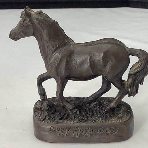 Welsh mountain pony - pony,