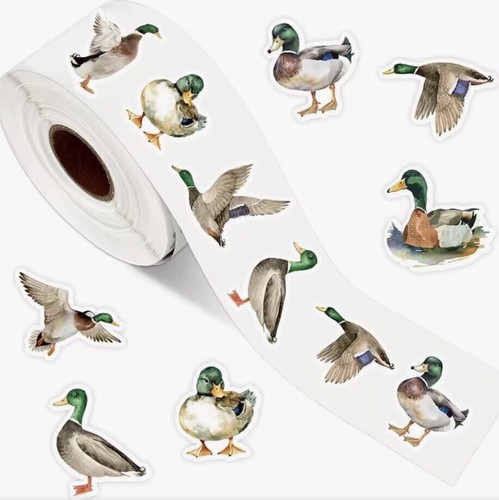 Mallard duck mix - x,