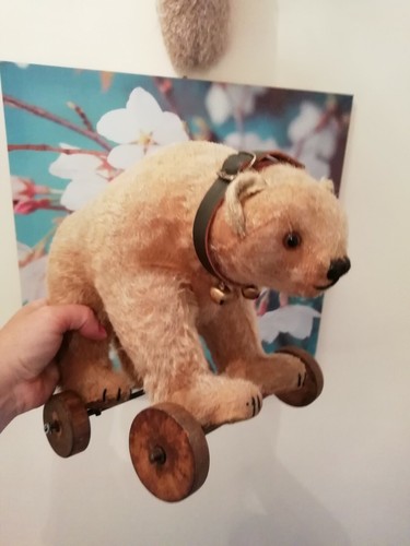 German antique rare bear on - antique,