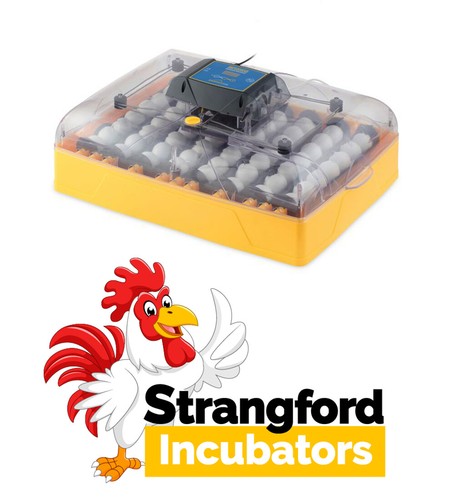 All brinsea incubators - incubators, (mini