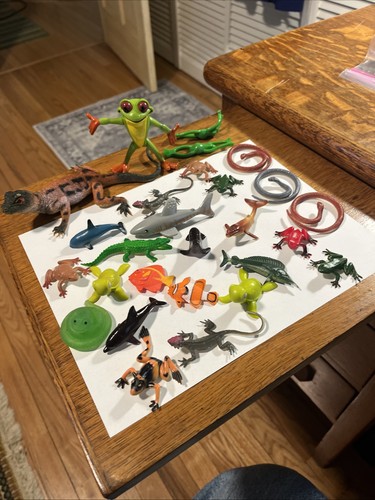 Lot water creatures - water, creatures-