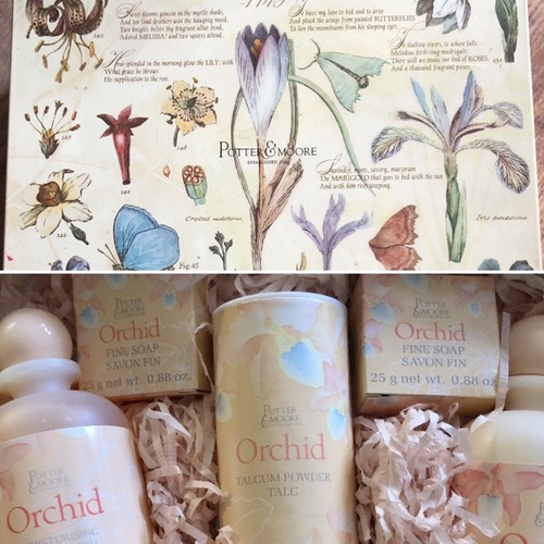 Vintage potter moore orchid - vintage,