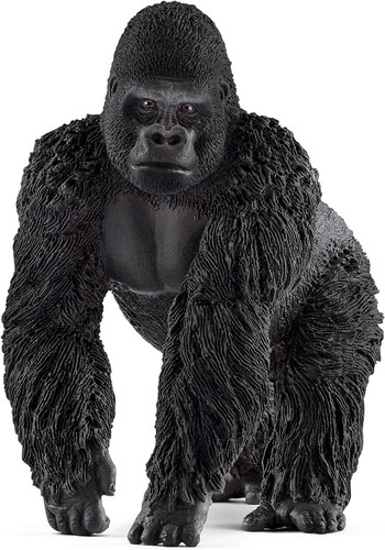 Wild life realistic male - realistic,