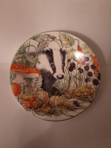 Royal kendal fine bone china - kendal,