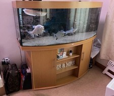 Juwel Vision 450 Aquarium