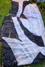 Flysurfer Speed 4 21m