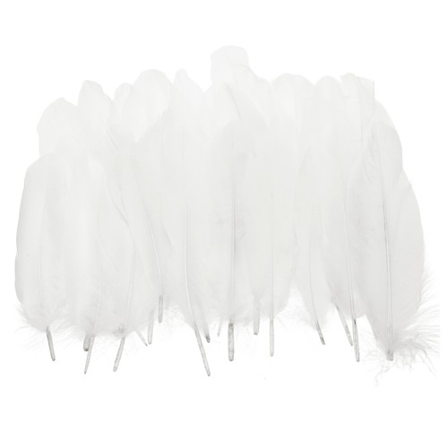 Natural goose feathers - natural,