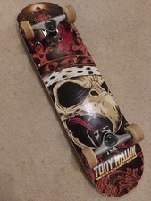 TONY HAWK SIGNATURE SERIES
