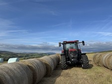 Hay Haylage, 1 Round Bale Haylage