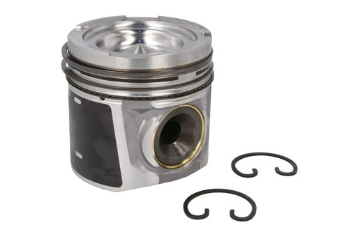 Fits man hocl lion - fits, hocl,